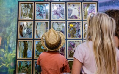 Écomusée des Goémoniers et de l’Algue